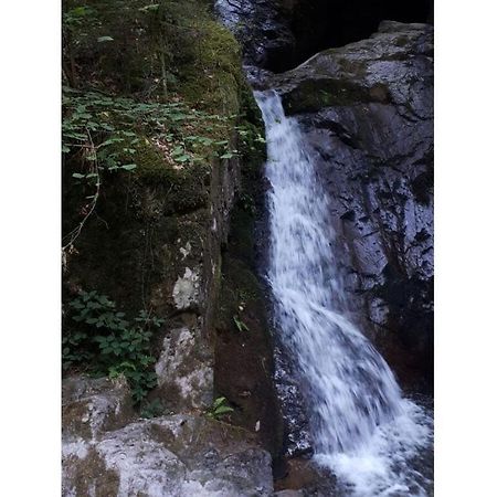 Heimatglueck Schwarzwald Villa Lautenbach Bagian luar foto