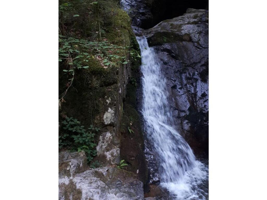 Heimatglueck Schwarzwald Villa Lautenbach Bagian luar foto