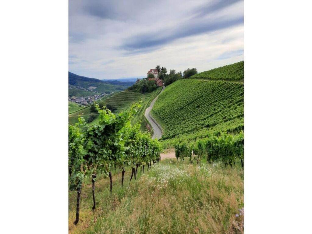 Heimatglueck Schwarzwald Villa Lautenbach Bagian luar foto